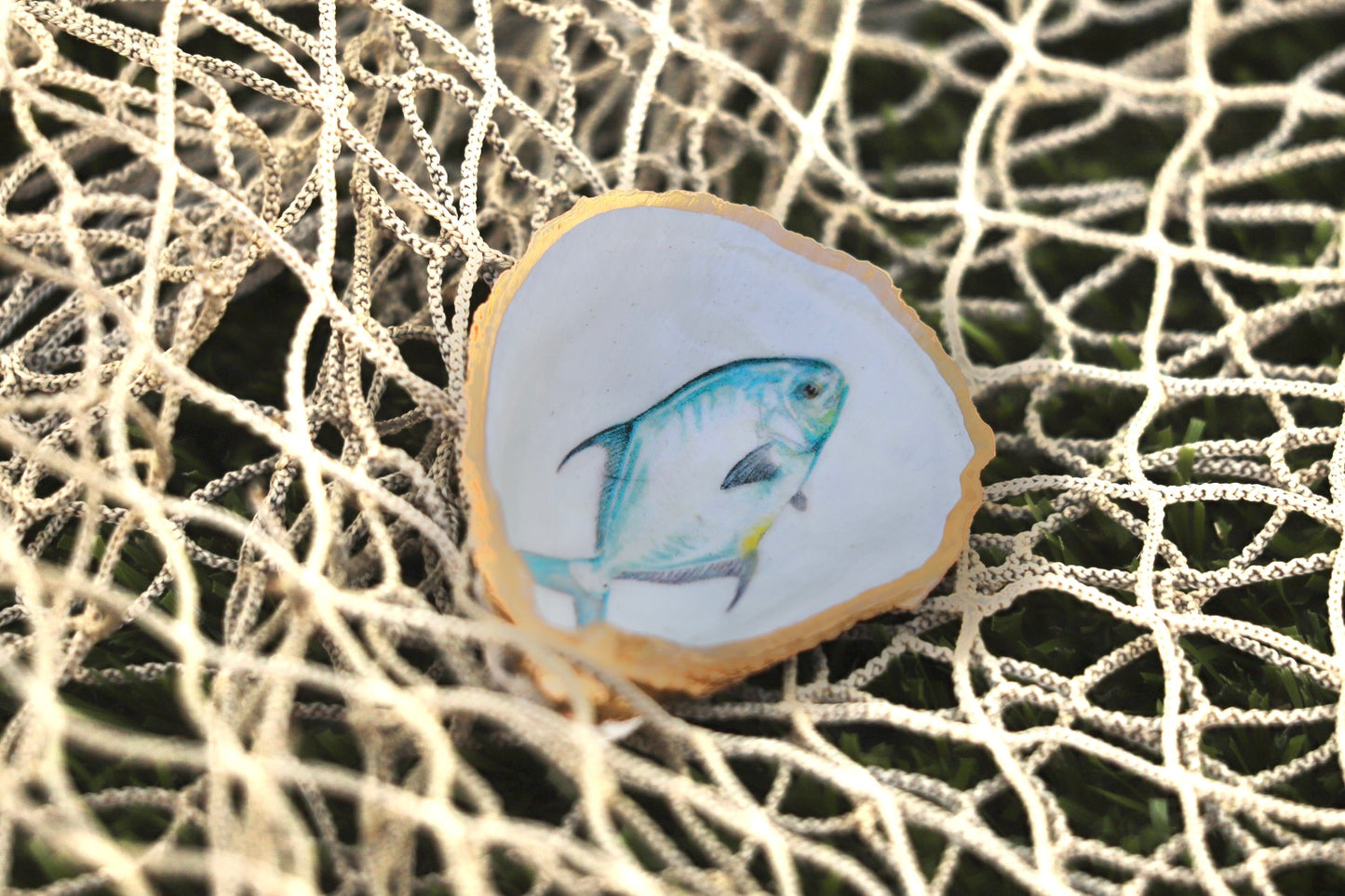 Permit Trinket Dish