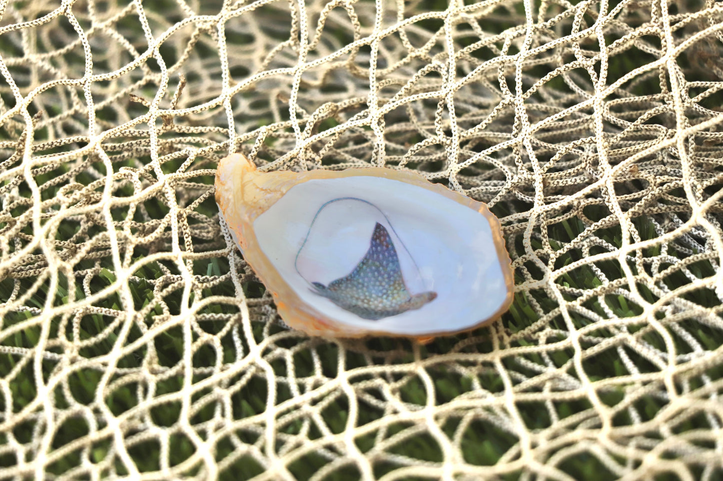 Spotted Eagle Ray Dish