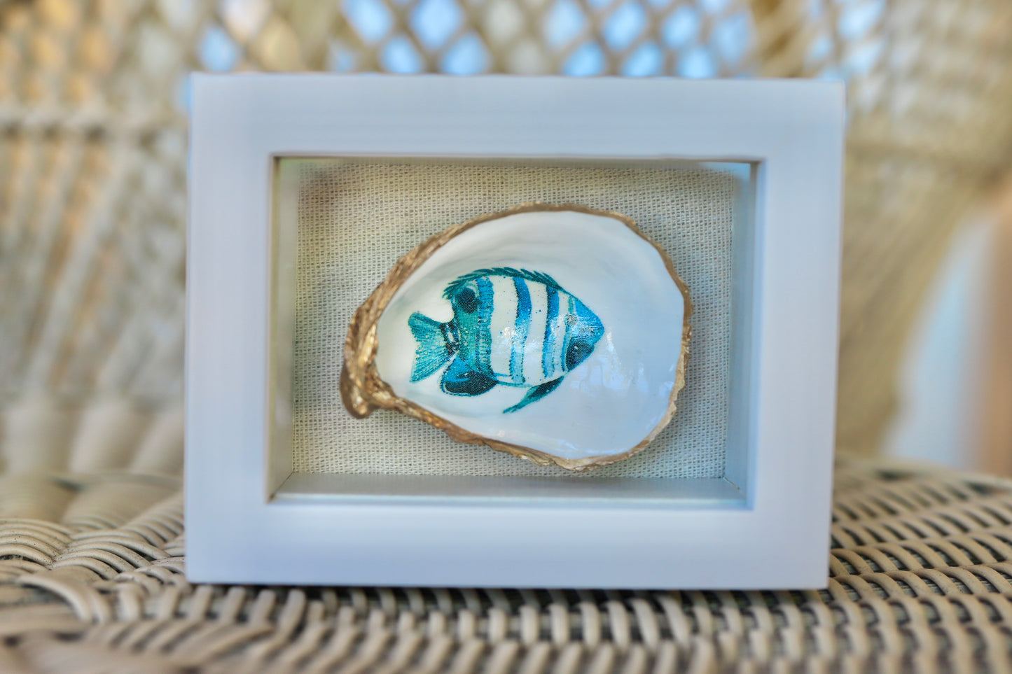 Mini Fish Shadow Box