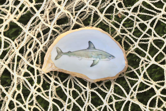 Great White Trinket Dish