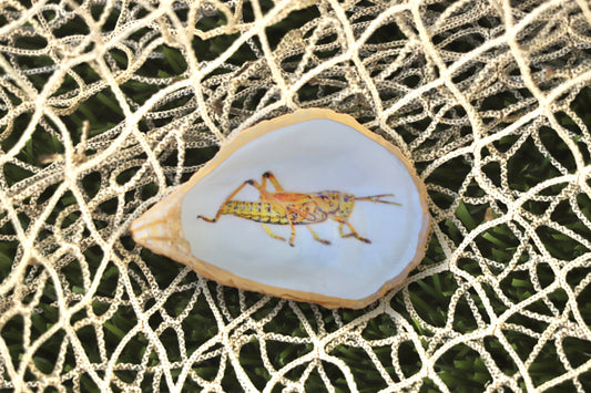 Lubber Grasshopper Trinket Dish