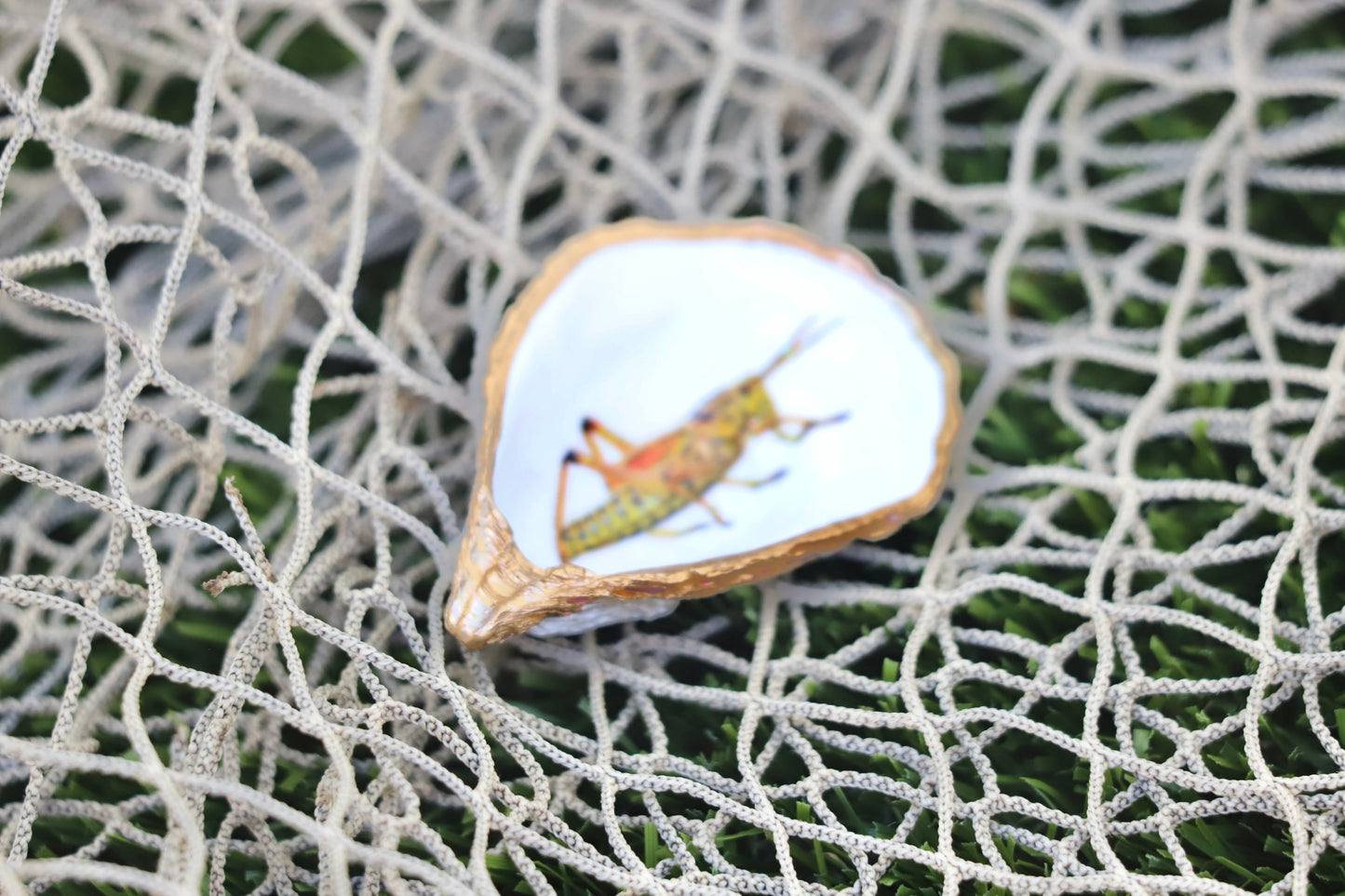 Lubber Grasshopper Trinket Dish