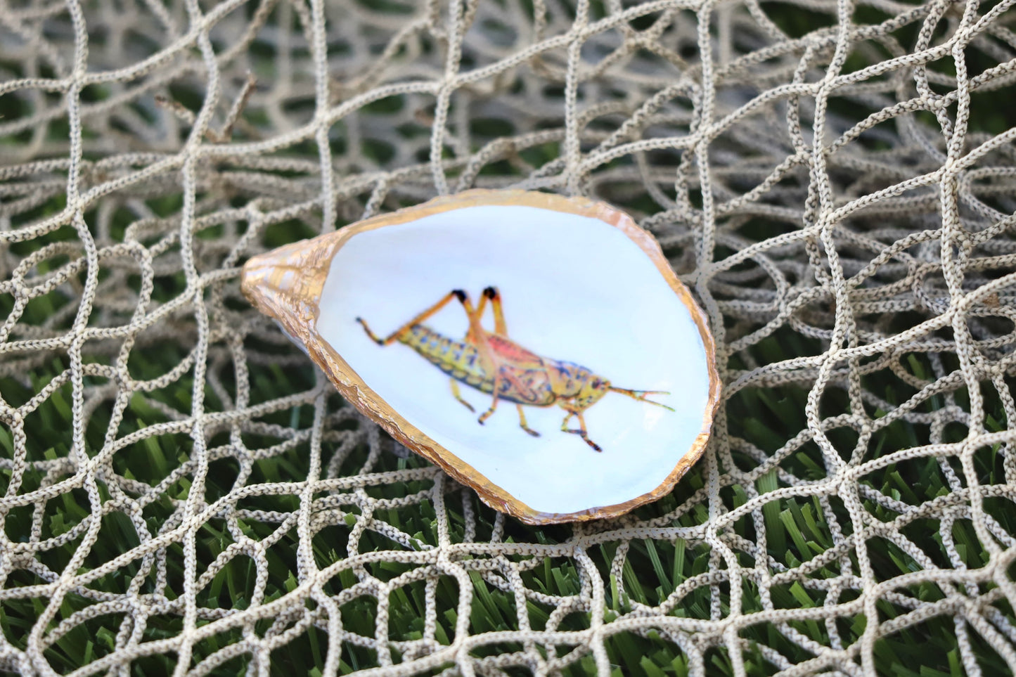 Lubber Grasshopper Trinket Dish