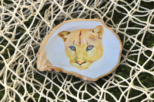 Florida Panther Trinket Dish