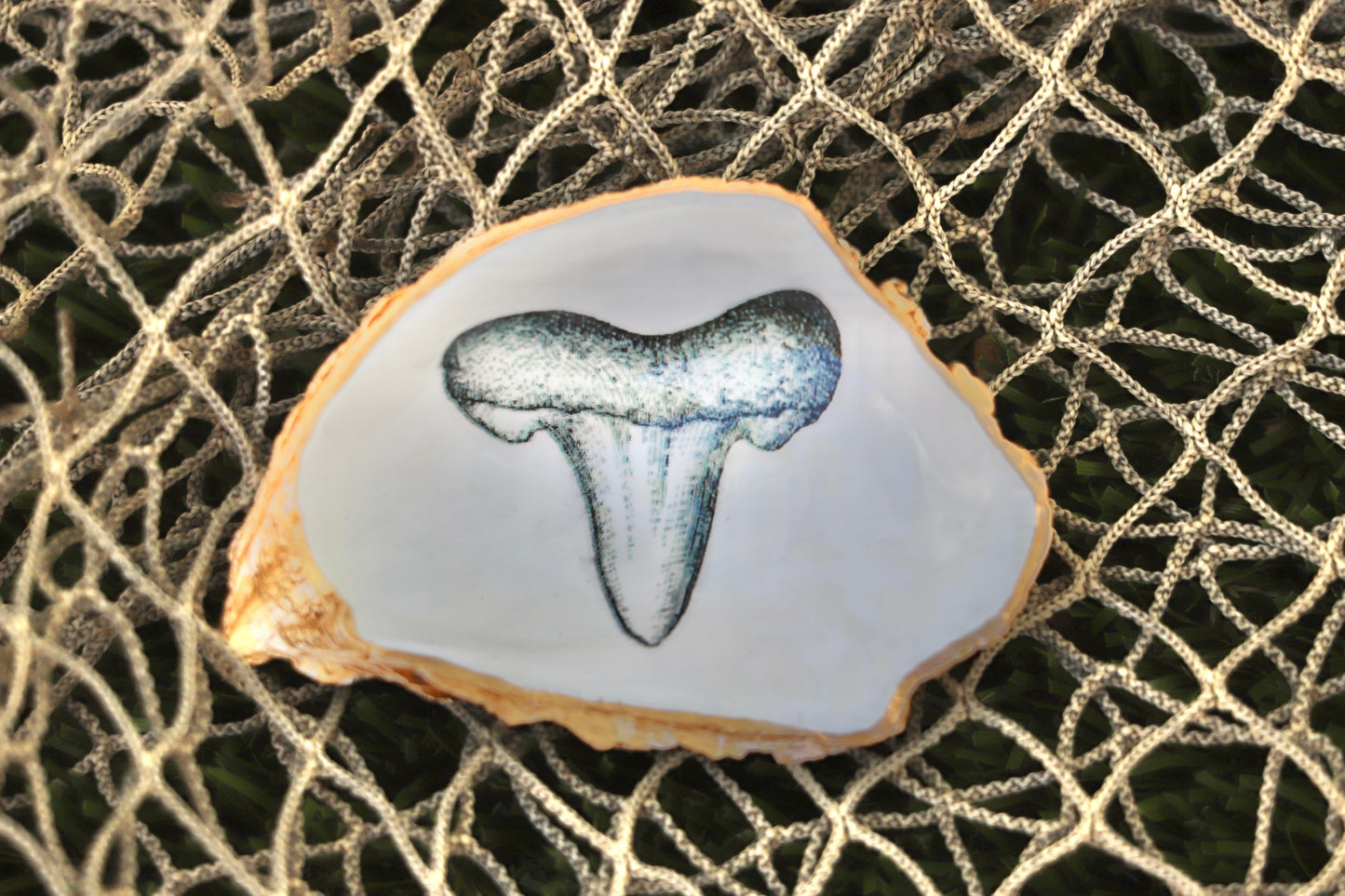 Shark Tooth Trinket Dish