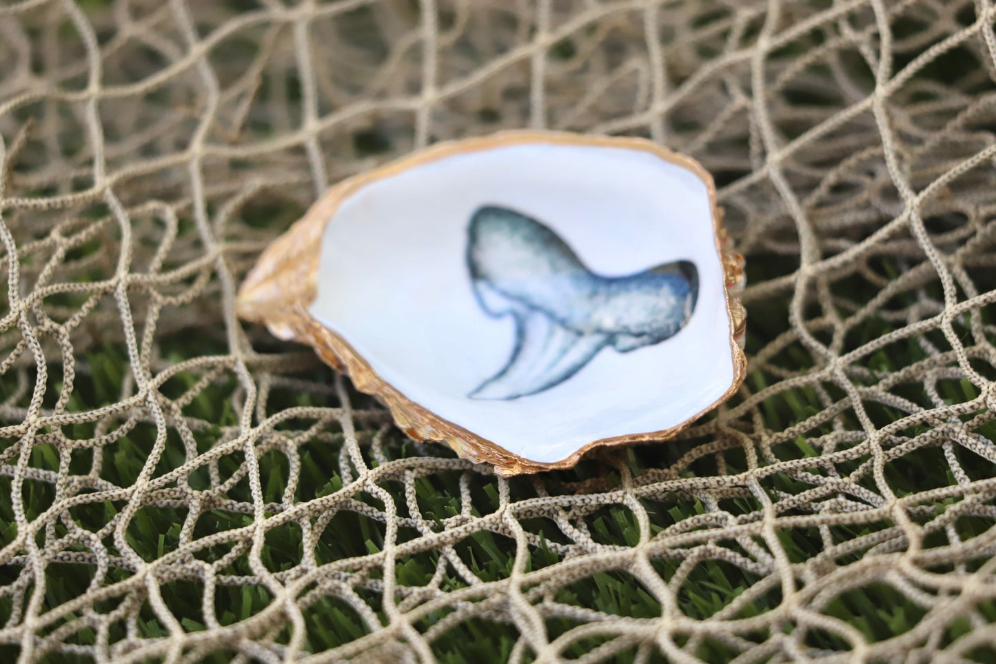 Shark Tooth Trinket Dish