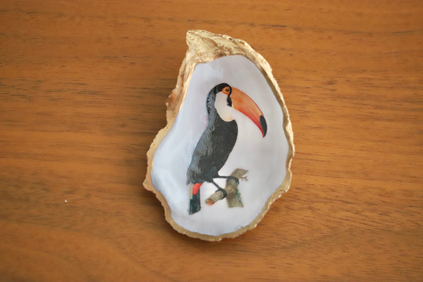 Tropical Toucan Trinket Dish