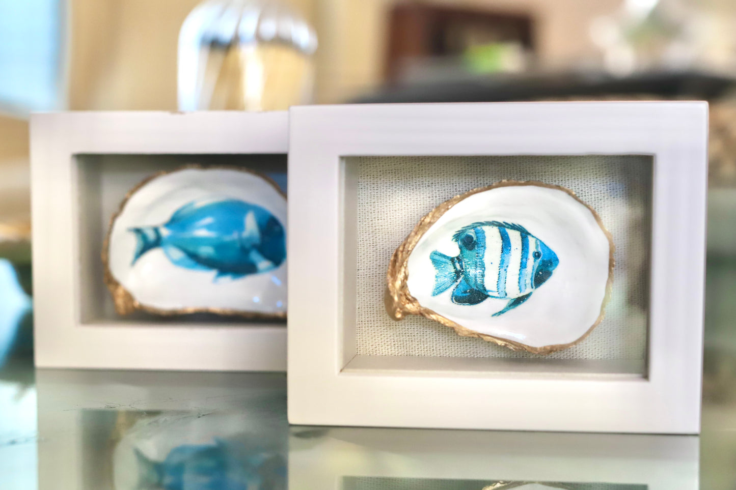 Mini Fish Shadow Box