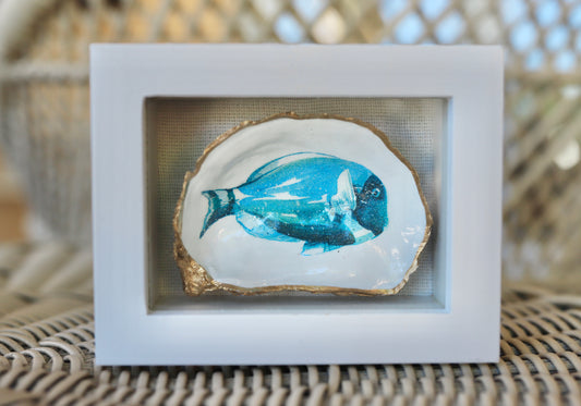 Mini Fish Shadow Box