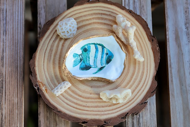 Reef Fish Trinket Dish