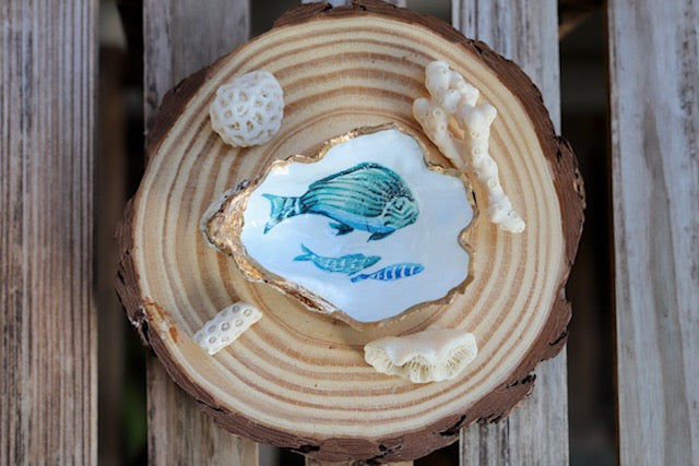 Reef Fish Trinket Dish