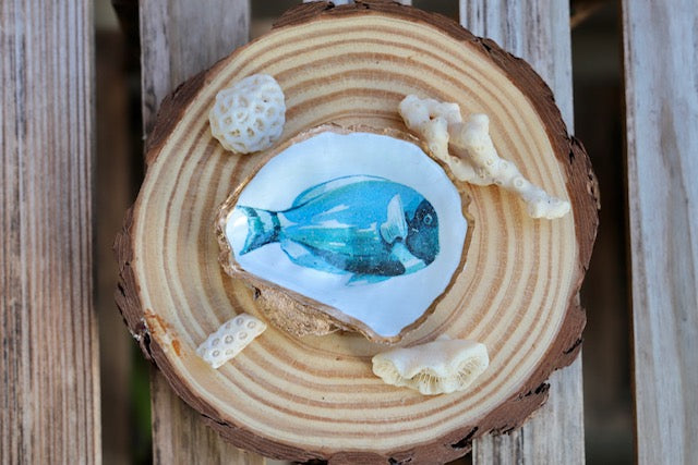 Reef Fish Trinket Dish