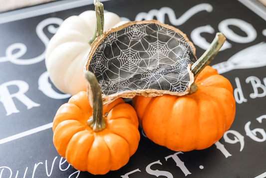 Spooky Spiderweb Trinket Dish