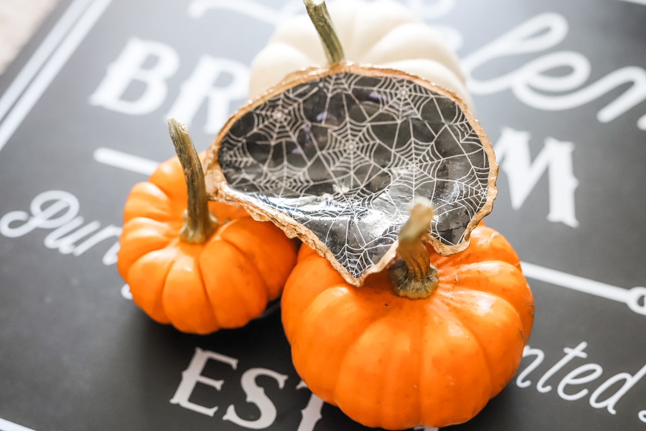 Spooky Spiderweb Trinket Dish