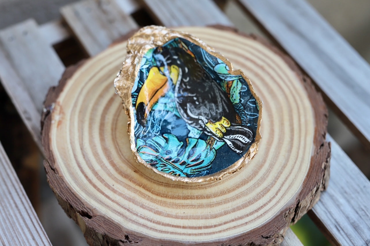 Black Toucan Trinket Dish