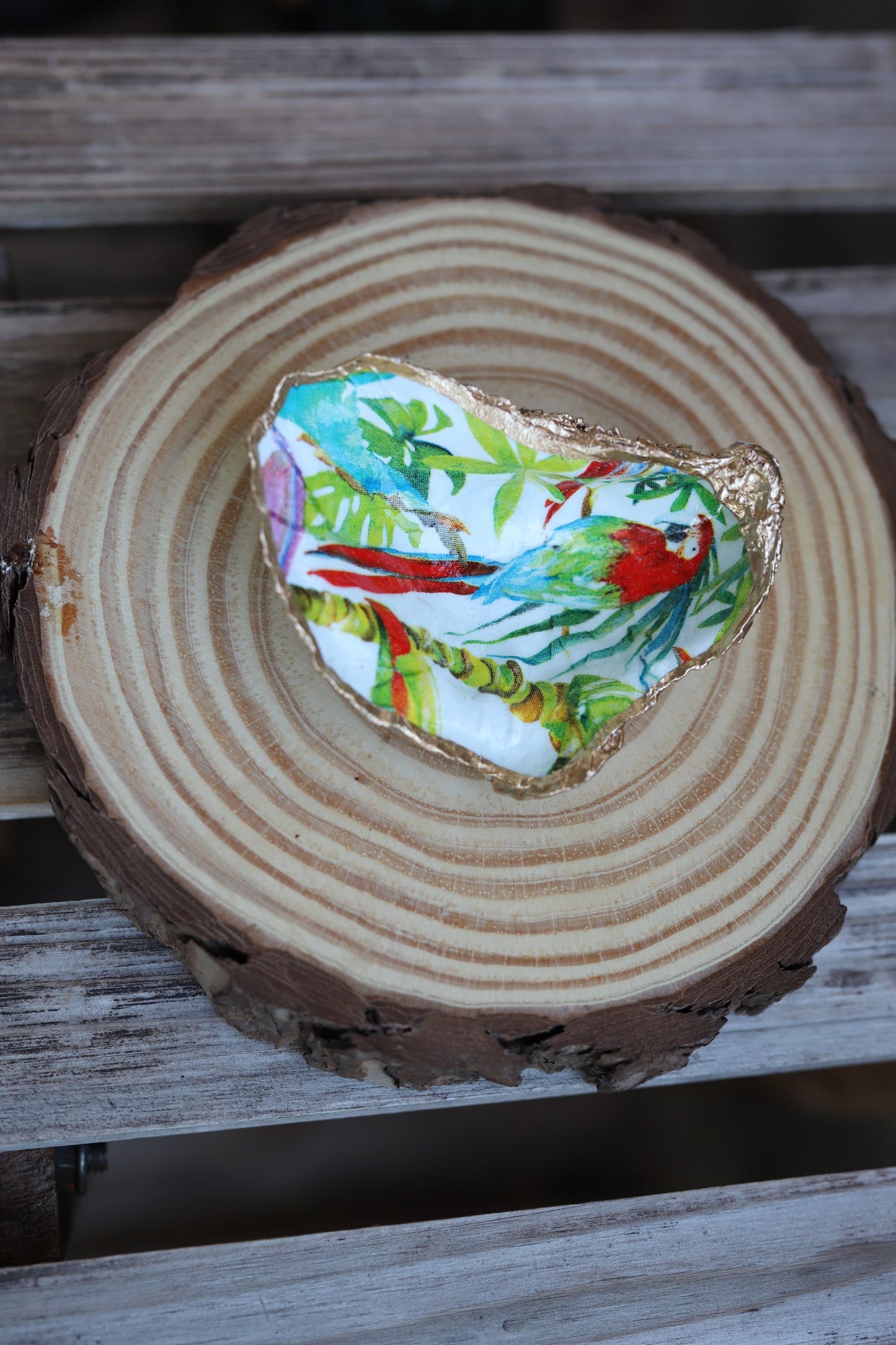 Macaw Trinket Dish