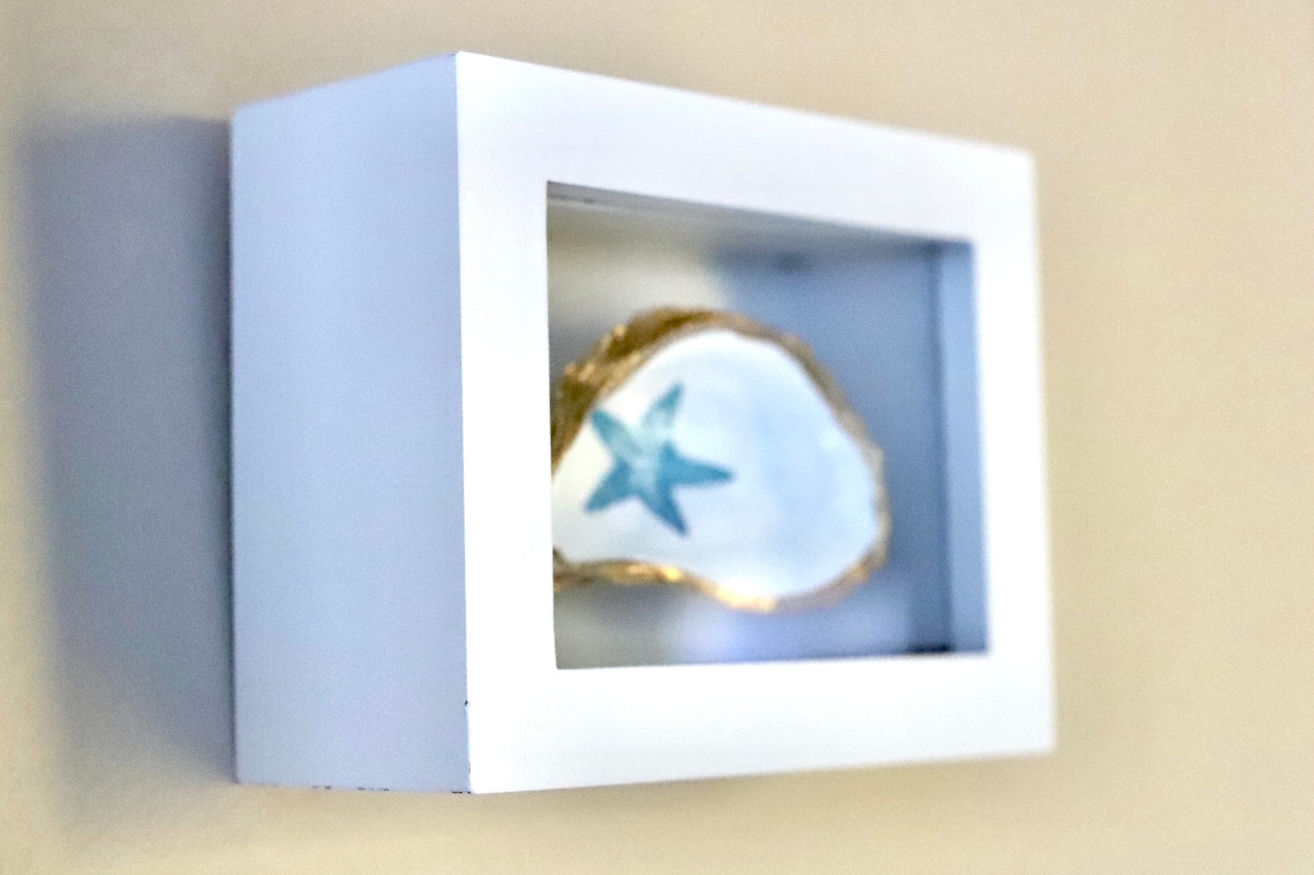 Mini Sea Star Shadow Box